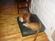 Enlarge photo 24