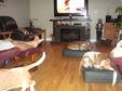 Enlarge photo 27