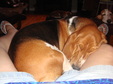 Enlarge photo 28