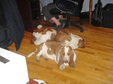 Enlarge photo 30