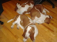 Enlarge photo 31