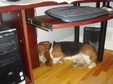 Enlarge photo 32
