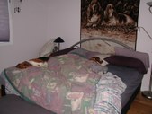 Enlarge photo 18