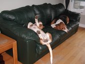 Enlarge photo 23
