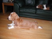 Enlarge photo 26