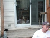 Enlarge photo 37