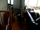 Enlarge MOV 7