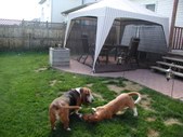 Enlarge photo 48