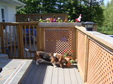 Enlarge photo 11