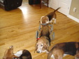 Enlarge photo 14