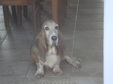 Enlarge photo 25