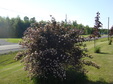 Enlarge photo 28