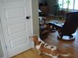 Enlarge photo 36