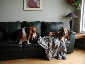 Enlarge photo 4