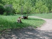 Enlarge photo 11