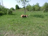 Enlarge photo 17
