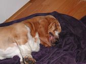 Enlarge photo 23
