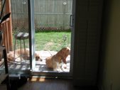 Enlarge photo 30