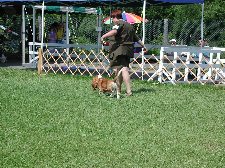 June Show