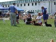 Enlarge photo 9