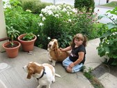 Enlarge photo 16