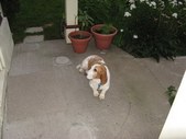 Enlarge photo 29
