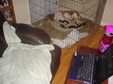 Enlarge photo 12