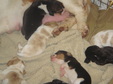 Enlarge photo 15