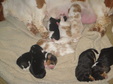 Enlarge photo 17