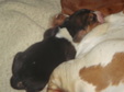 Enlarge photo 27