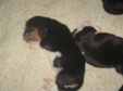 Enlarge photo 29