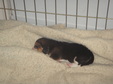 Enlarge photo 32