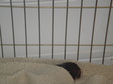 Enlarge photo 34