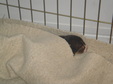 Enlarge photo 35