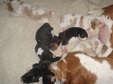 Enlarge photo 36