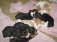 Enlarge photo 48