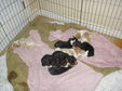 Enlarge photo 49