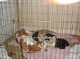 Enlarge photo 53