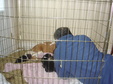 Enlarge photo 54