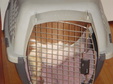 Enlarge photo 69
