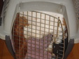 Enlarge photo 71