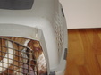 Enlarge photo 72