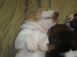 Enlarge photo 96