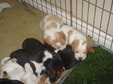 Enlarge photo 109