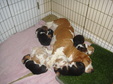 Enlarge photo 111