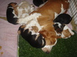 Enlarge photo 115