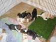 Enlarge photo 118