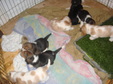 Enlarge photo 119