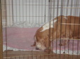 Enlarge photo 121