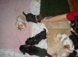 Enlarge photo 124